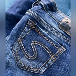 Silver Jeans Aiko Skinny